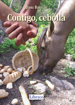 Contigo, Cebolla